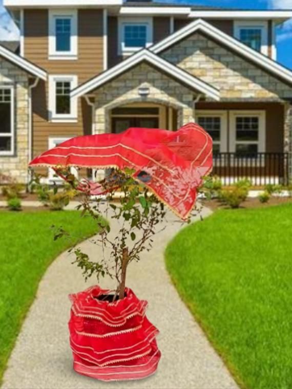 Tulsi Vastram - Lehenga & Chunni for Tulasi Vivah